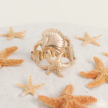 Seashell Showcase Gold