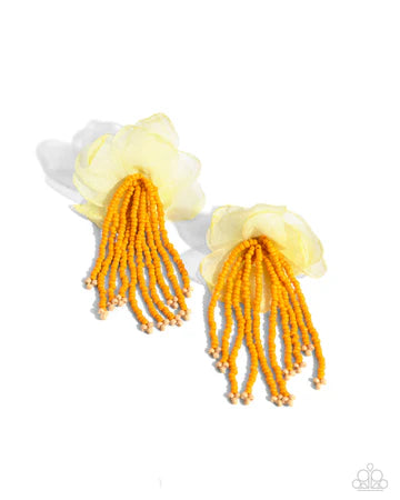 Cinderella Charisma Orange