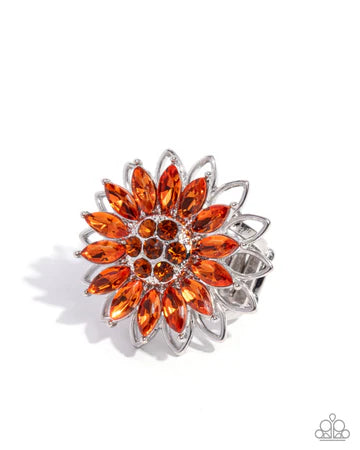 Sunflower Souvenir Orange