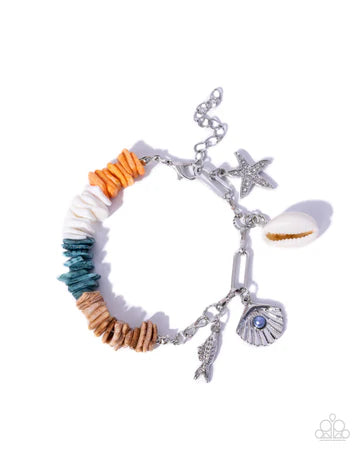 Seaside Shells Multi