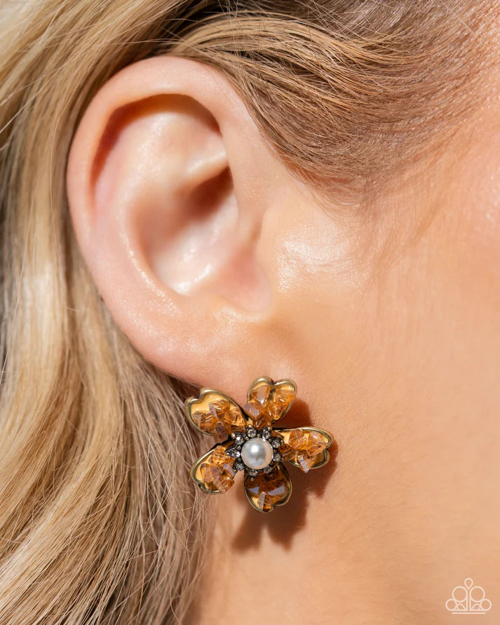 Chiseled Casino Chiseled Captain Brass