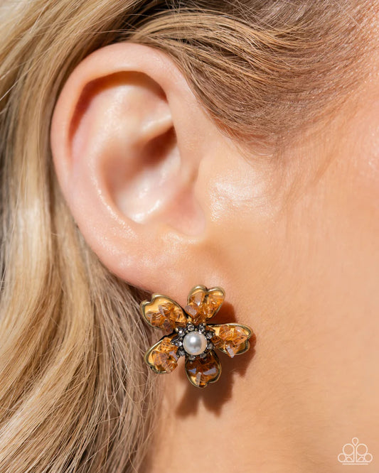 Chiseled Casino Chiseled Captain Brass