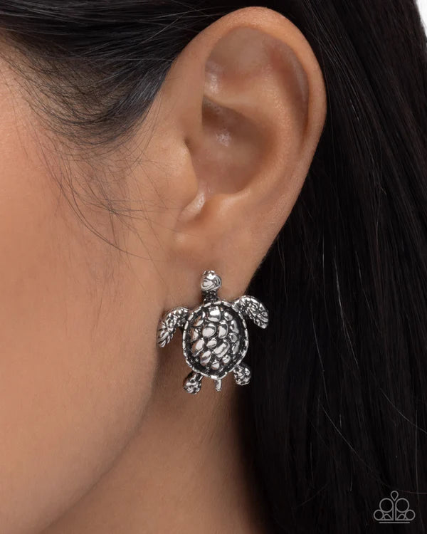 Turtle Taste Silver